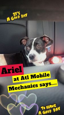 ATL Mobile Mechanics — Ariel the shop dog riding in the service truck, branded as "It's a good day"